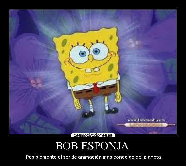 BOB ESPONJA  - 