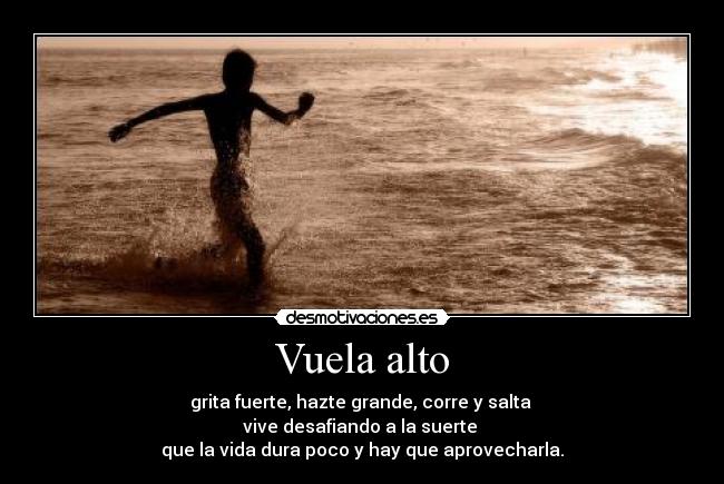 Vuela alto -