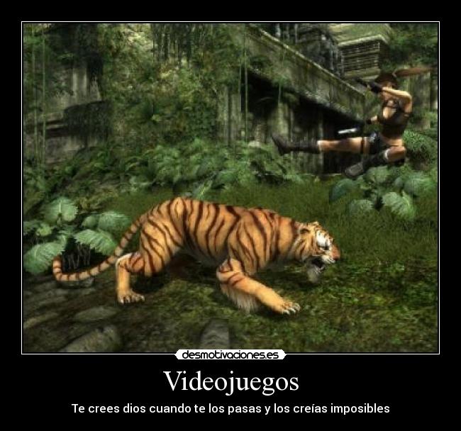 Videojuegos - 