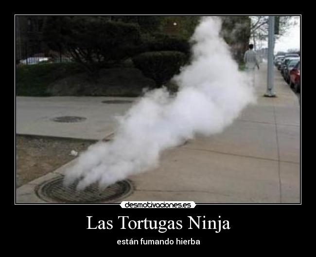 Las Tortugas Ninja -