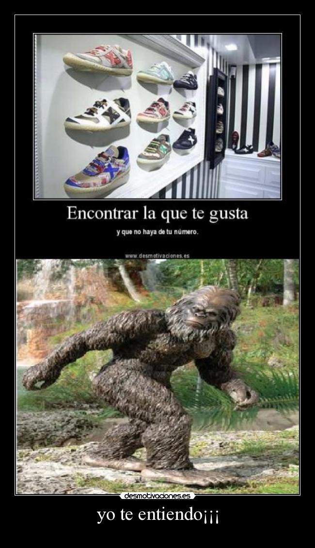 yo te entiendo¡¡¡ -