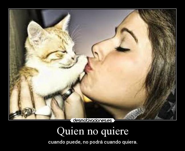 Quien no quiere - 