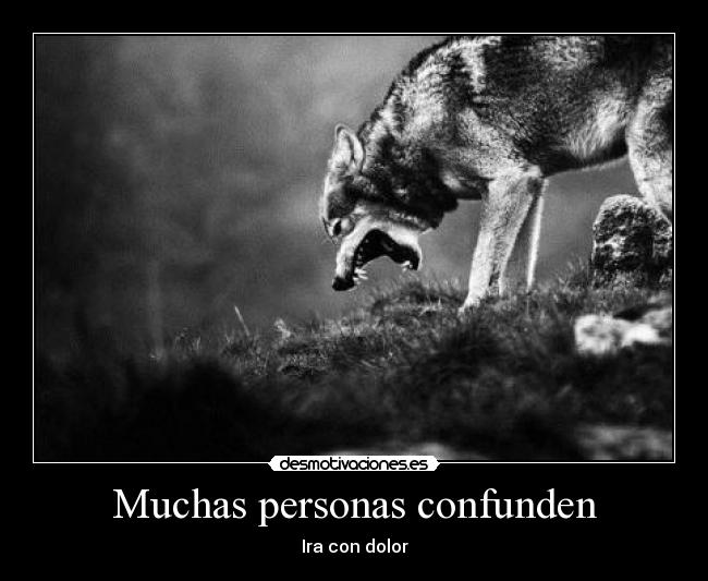 Muchas personas confunden - Ira con dolor