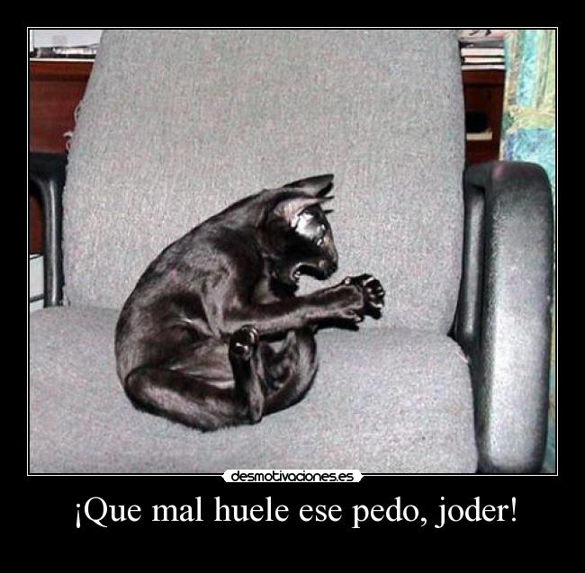 carteles stuard little desmotivaciones