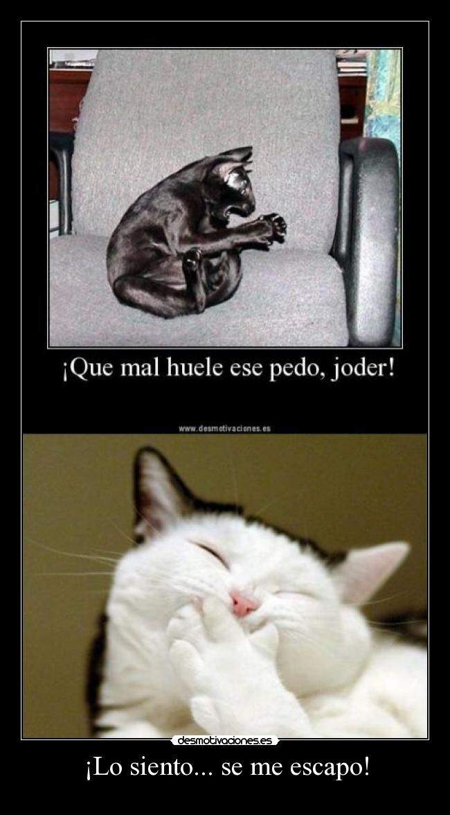 ¡Lo siento... se me escapo! -  