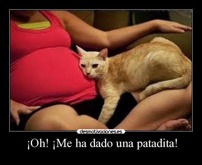 ¡Oh! ¡Me ha dado una patadita! - 