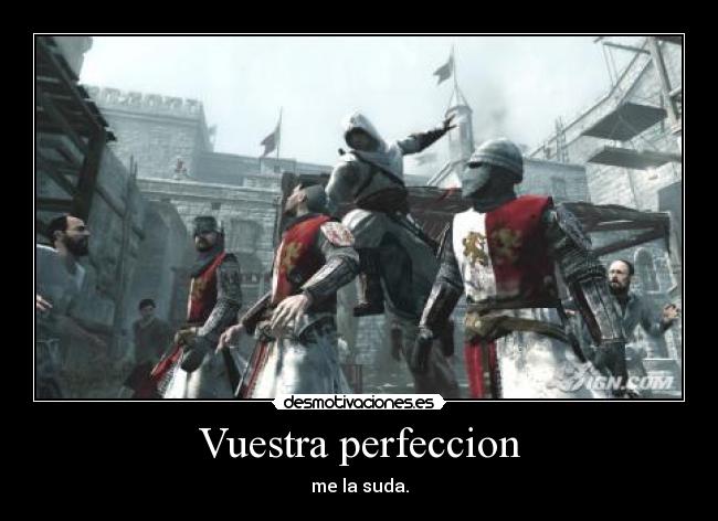 Vuestra perfeccion -
