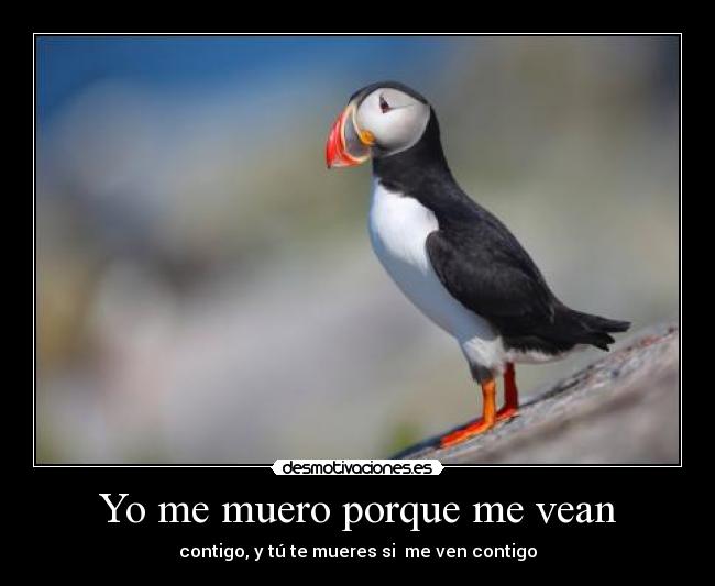 Yo me muero porque me vean - contigo, y tú te mueres si  me ven contigo
