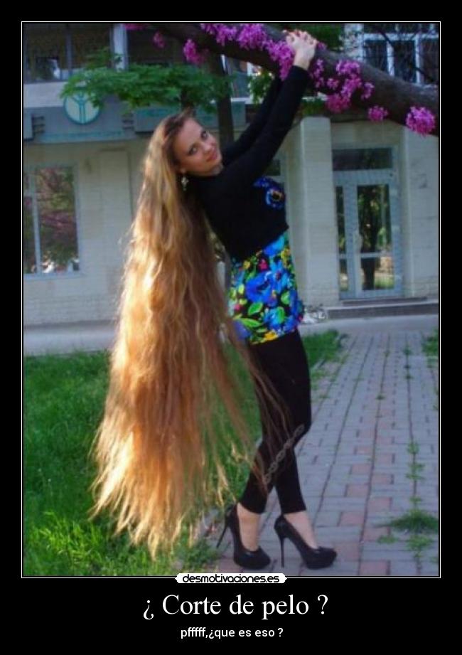  ¿ Corte de pelo ? - 