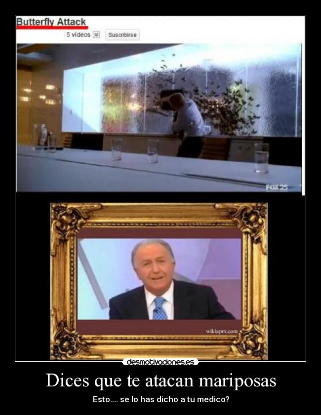 Dices que te atacan mariposas - Esto.... se lo has dicho a tu medico?