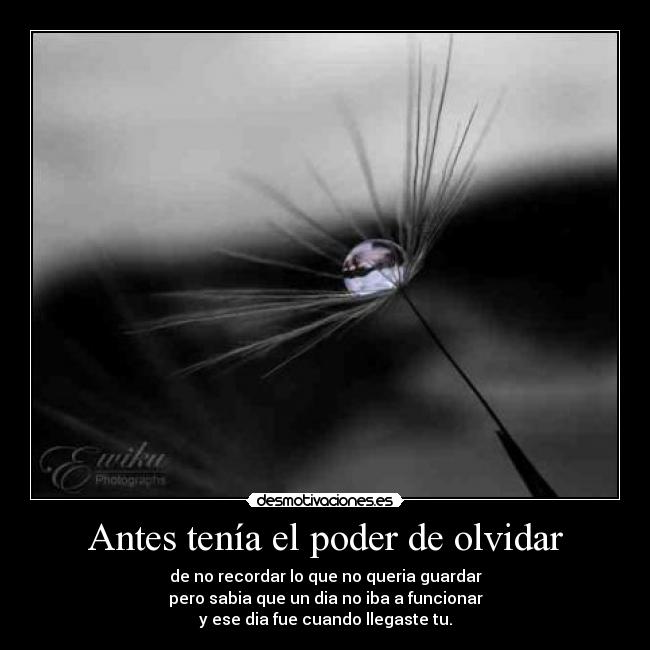 carteles olvidar olvidar desmotivaciones