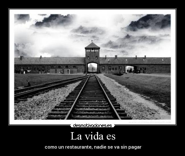 La vida es - 