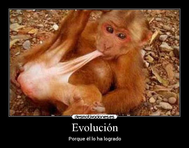 carteles evolucion desmotivaciones