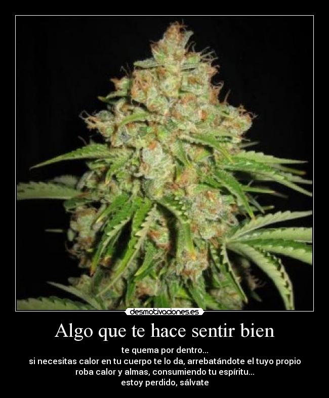 Algo que te hace sentir bien -