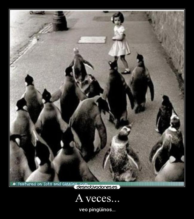 A veces... - veo pingüinos...