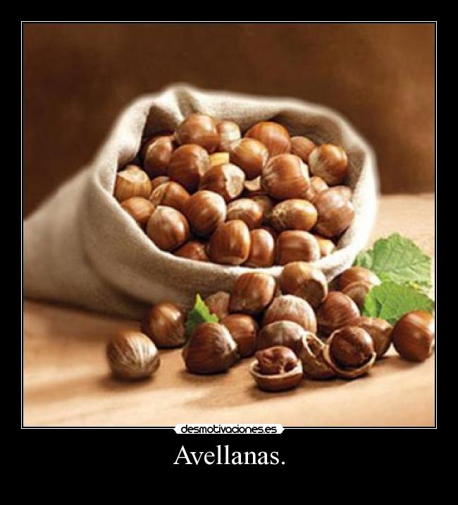 Avellanas. -