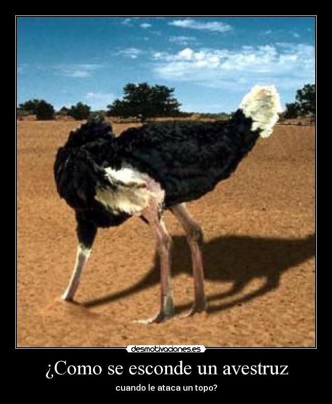 ¿Como se esconde un avestruz - cuando le ataca un topo?
