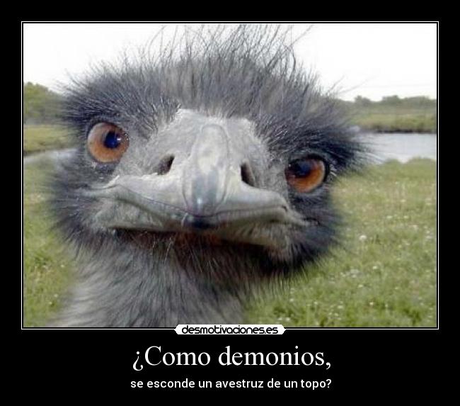 ¿Como demonios, - 