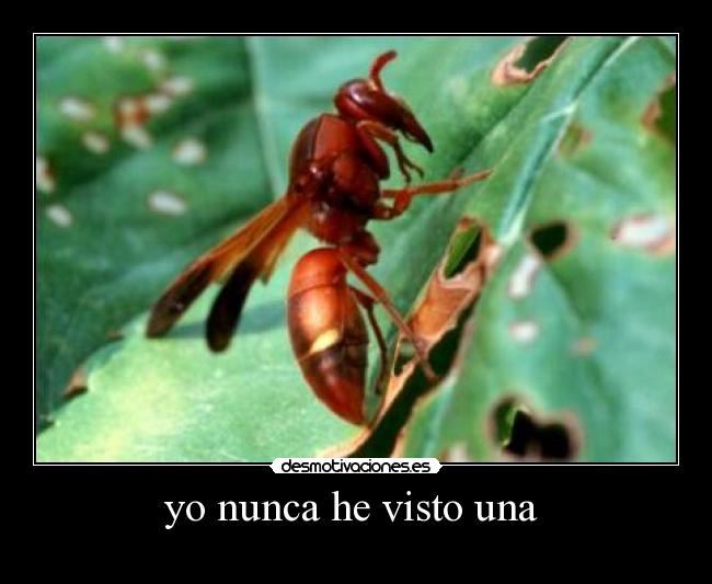 carteles frgre desmotivaciones