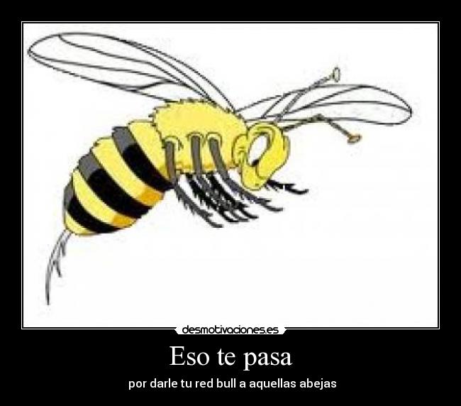 Eso te pasa -  por darle tu red bull a aquellas abejas