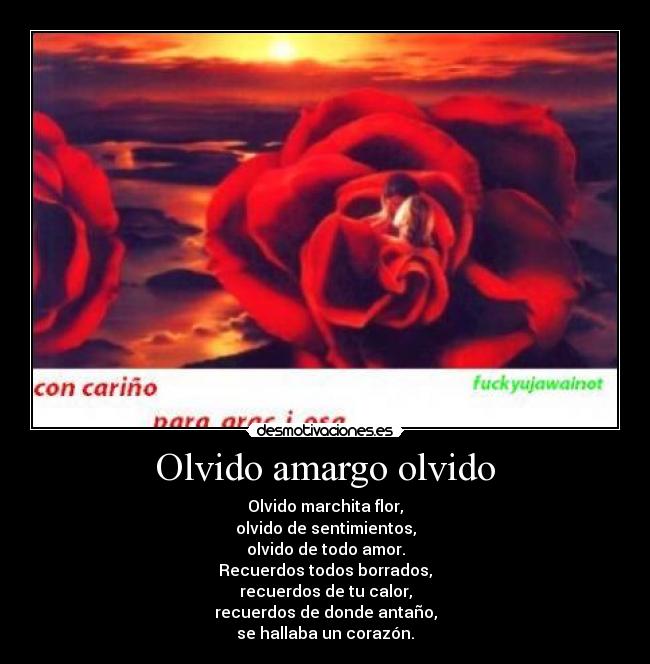 Olvido amargo olvido - 