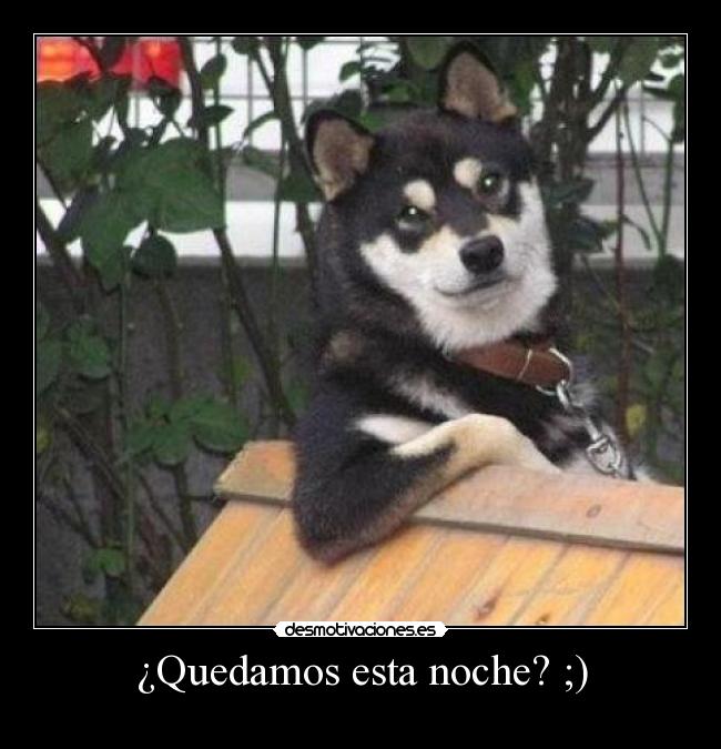 ¿Quedamos esta noche? ;) - 