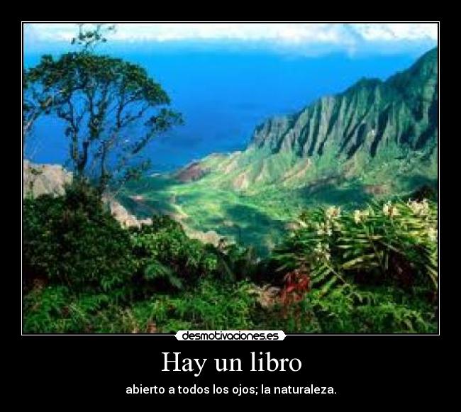 Hay un libro -