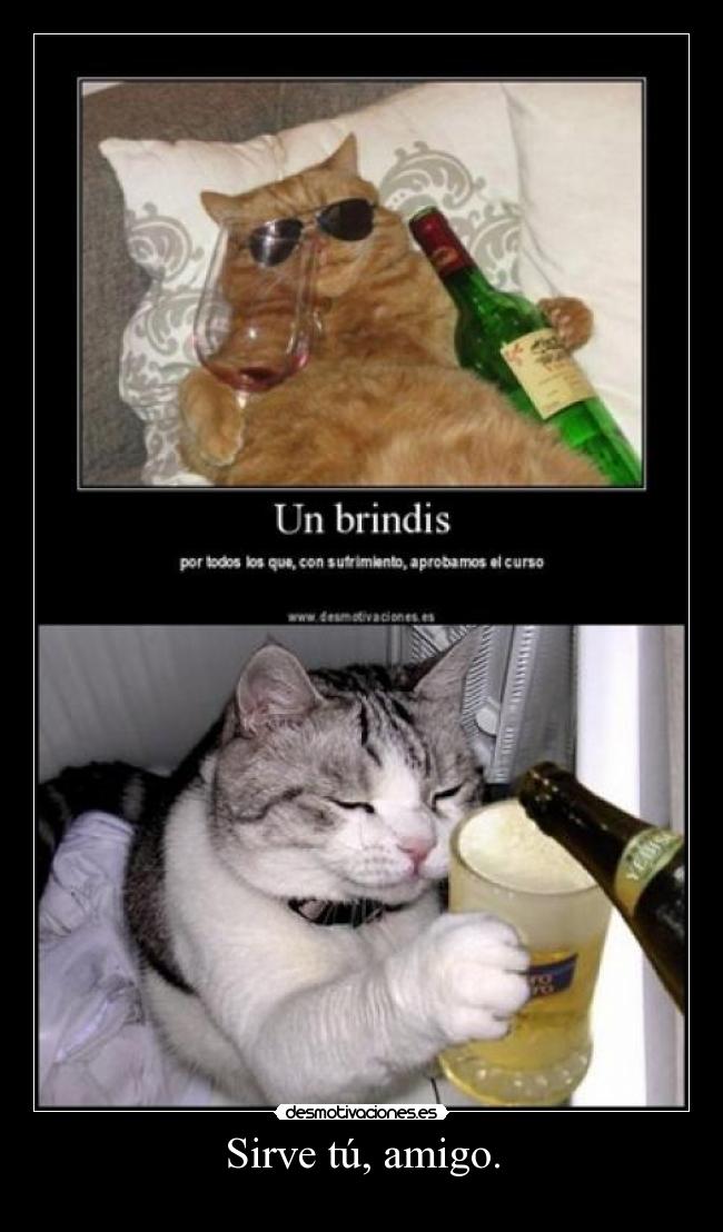 Sirve tú, amigo. -