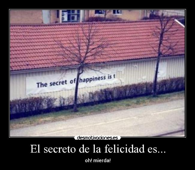 El secreto de la felicidad es... -