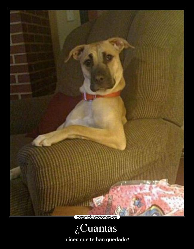 ¿Cuantas - dices que te han quedado?