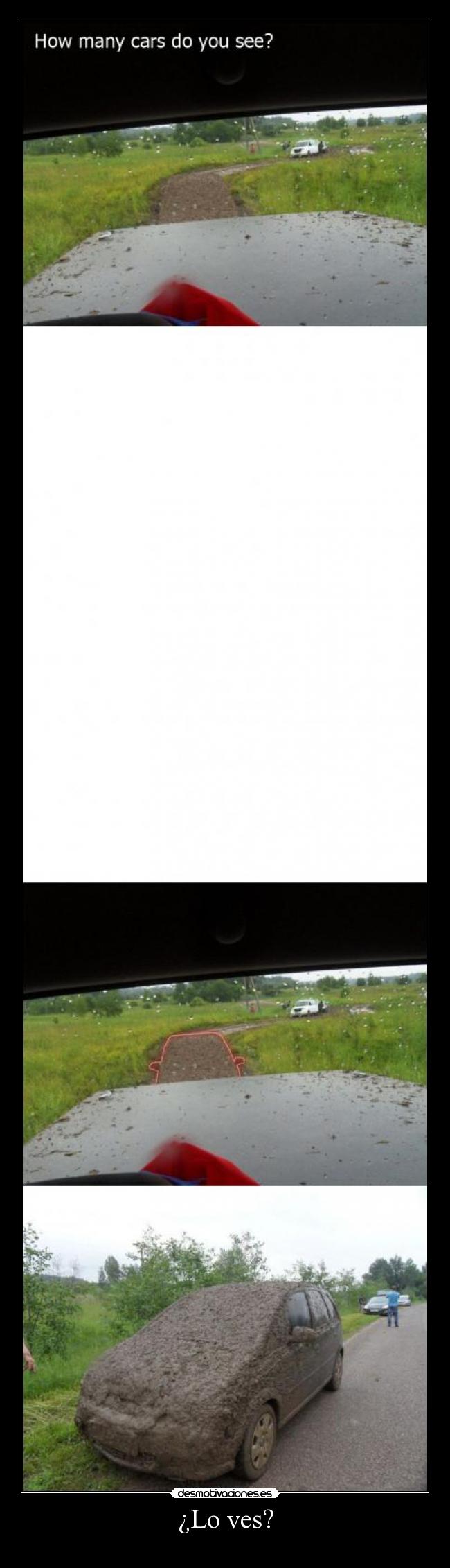 ¿Lo ves? -