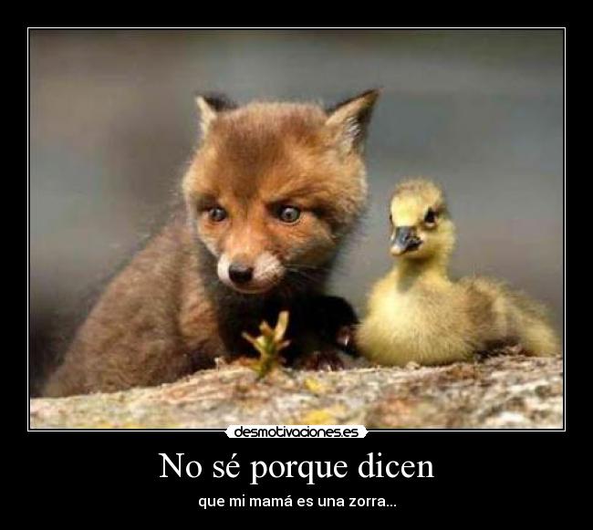 No sé porque dicen -