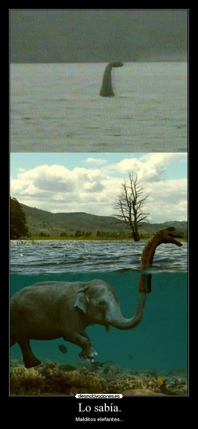 Lo sabía. -