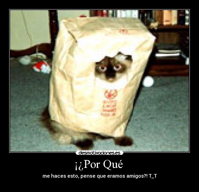 carteles gsfgdsgd desmotivaciones