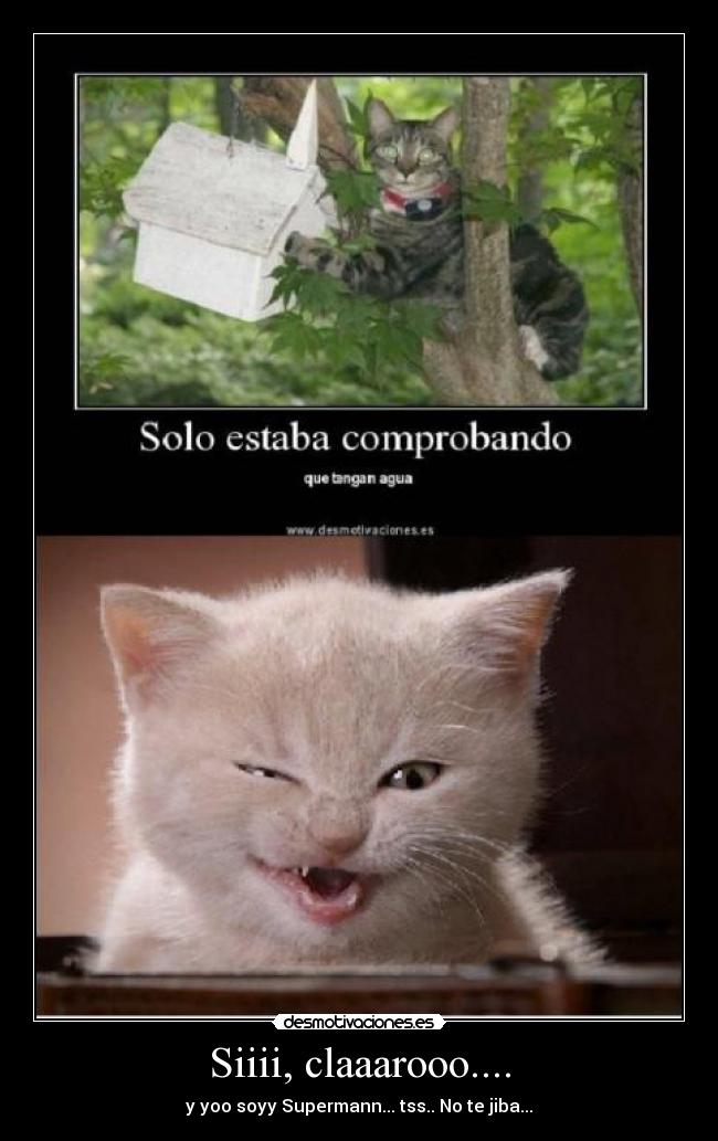 Siiii, claaarooo.... - 