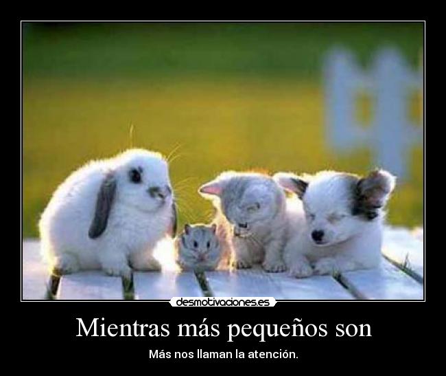 Mientras más pequeños son - 