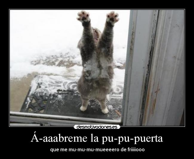 Á-aaabreme la pu-pu-puerta -