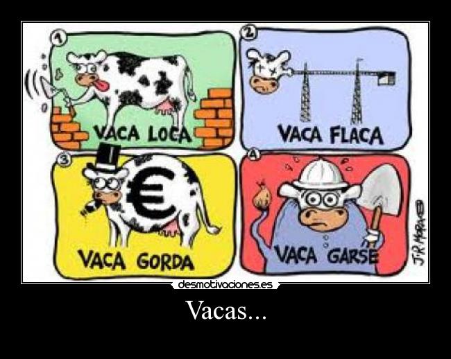Vacas... -