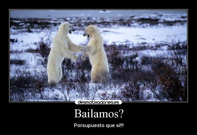 Bailamos? - Porsupuesto que si!!!