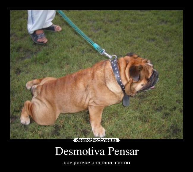Desmotiva Pensar -