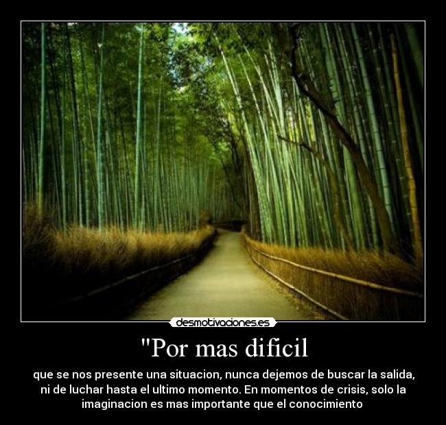 Por mas dificil - que se nos presente una situacion, nunca dejemos de buscar la salida,
ni de luchar hasta el ultimo momento. En momentos de crisis, solo la
imaginacion es mas importante que el conocimiento 