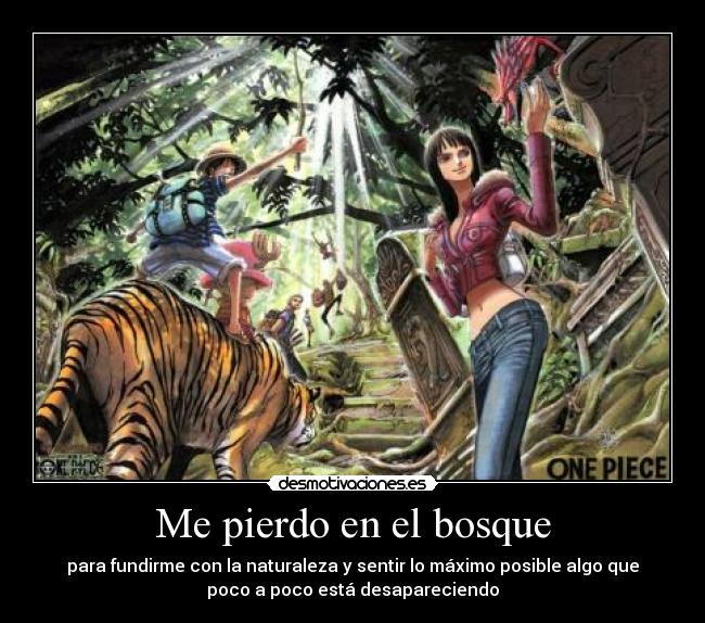 Me pierdo en el bosque - 