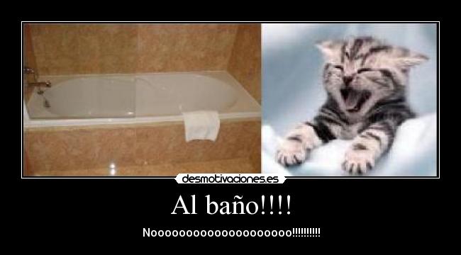 Al baño!!!! - Noooooooooooooooooooo!!!!!!!!!!