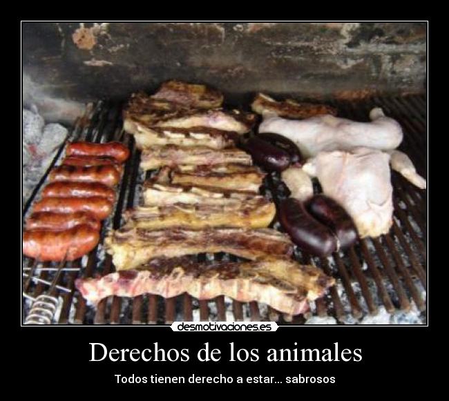 Derechos de los animales -