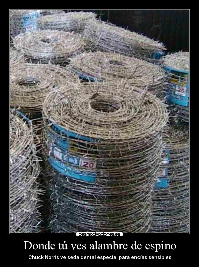 Donde tú ves alambre de espino - Chuck Norris ve seda dental especial para encías sensibles