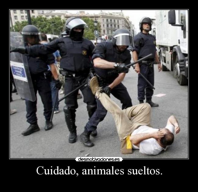 Cuidado, animales sueltos. - 