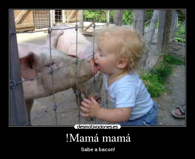 !Mamá mamá - Sabe a bacon!