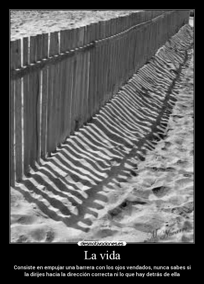 La vida - Consiste en empujar una barrera con los ojos vendados, nunca sabes si
la dirijes hacia la dirección correcta ni lo que hay detrás de ella