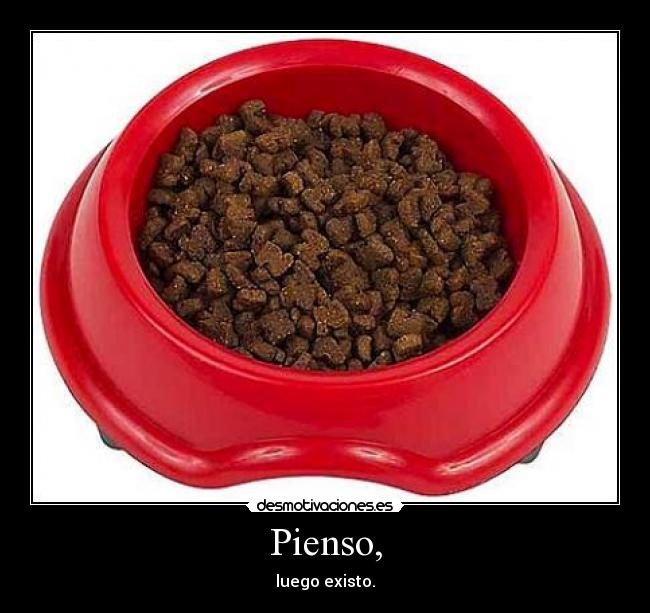 carteles angel pienso bromas risas camiseta enimar existo existir luego lego desmotivaciones