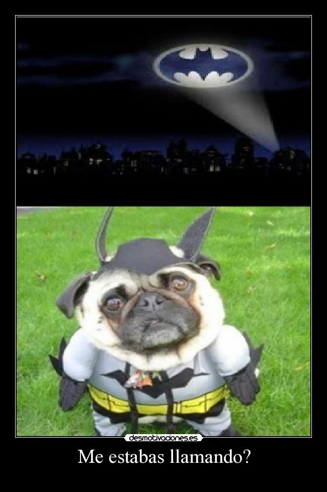 Me estabas llamando? - 
